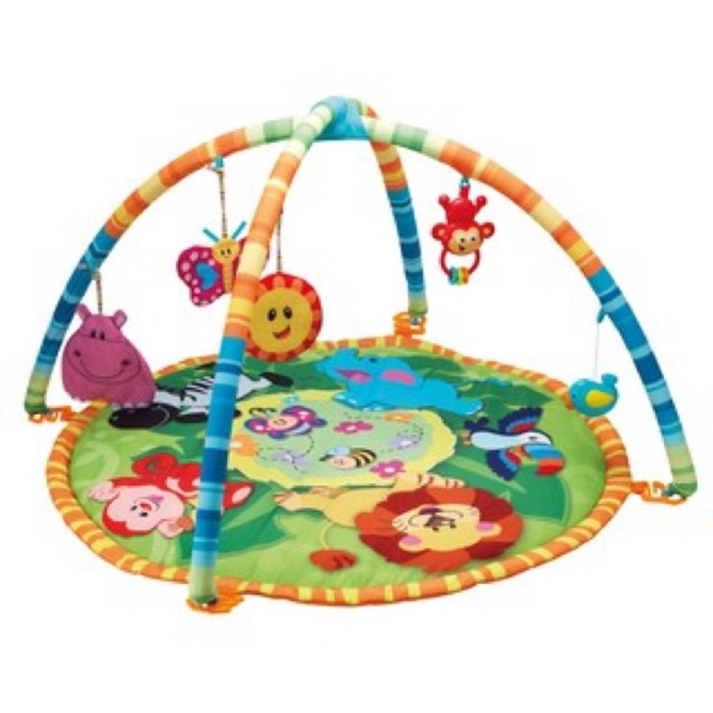 Baby gym brand new